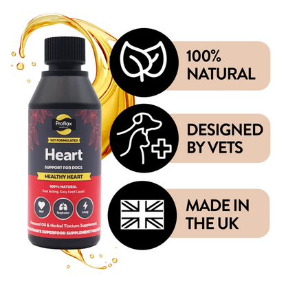 Proflax Healthy Heart - natural liquid heart support supplement for dogs, shown, claims of 100% natural, vet-designed, and made in the UK.