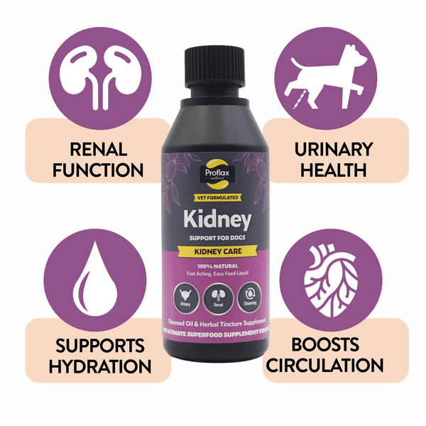 A bottle of Proflax Kidney support for dogs on a white background supports renal function, urinary health, supports hydration and boosts circulation.