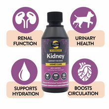 A bottle of Proflax Kidney support for dogs on a white background supports renal function, urinary health, supports hydration and boosts circulation.