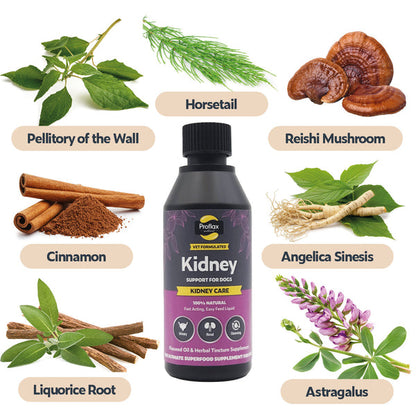 Proflax Kidney Support for Dogs contains pellitory of the wall, horsetail, reishi mushrooms, cinnamon, angelica sinesis, liquorice root and astragalus