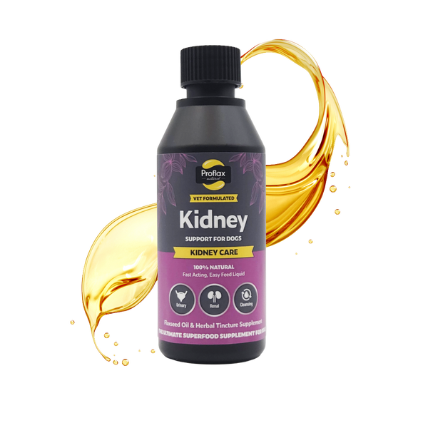 Main image of bottle of Proflax Kidney Support for Dogs on a chequered black and grey background
