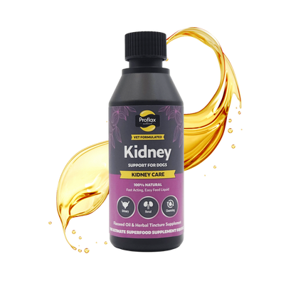 Main image of bottle of Proflax Kidney Support for Dogs on a chequered black and grey background