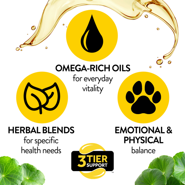 3 Tier Support - omega rich oils, herbal blends, emotional and physical balance.