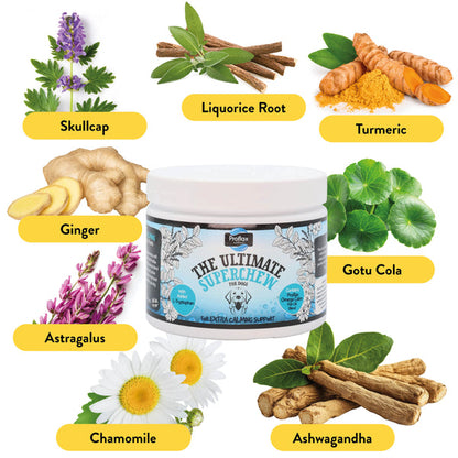 List of Ingredients.