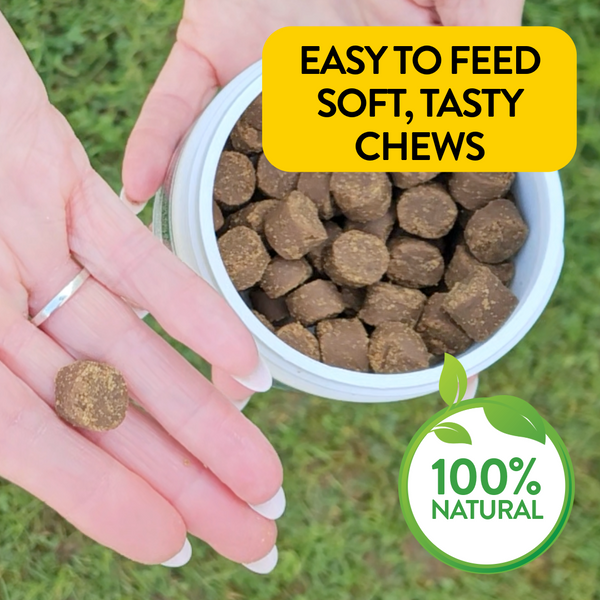 Image of chews in someone's hand.