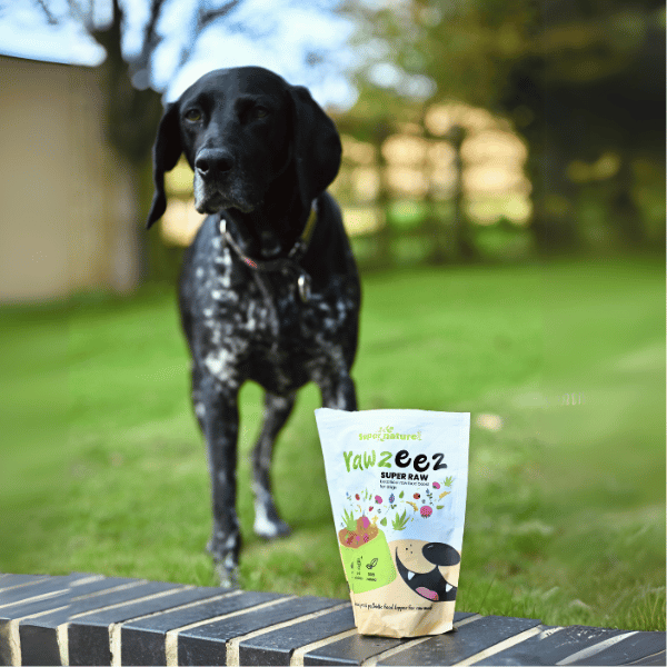 Rawzeez Super Raw Botanical Food Boost for Dogs