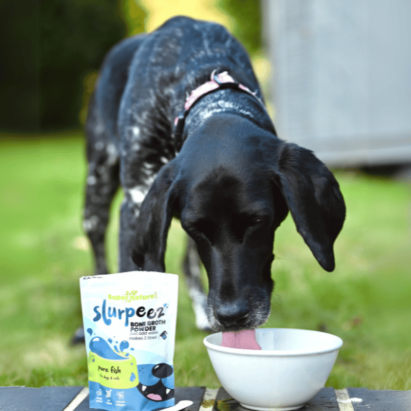 Slurpeez Bone Broth Powder