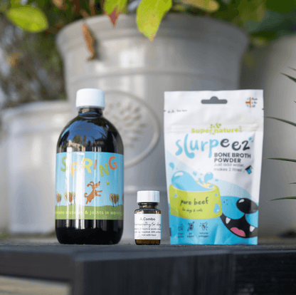 Joint Support Bundle featuring Spring Joint Support and A.Combo for optimal dog joint health.