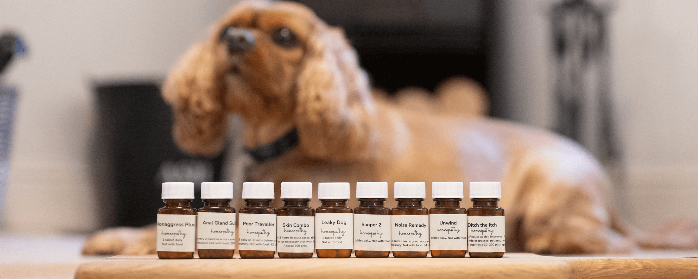 A dog resting in the background with a row of small amber bottles labeled for natural remedies in the foreground.