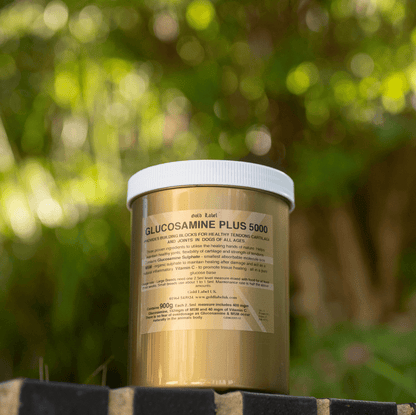 Glucosamine for Dogs Plus 5000 powder container for promoting joint health in dogs.