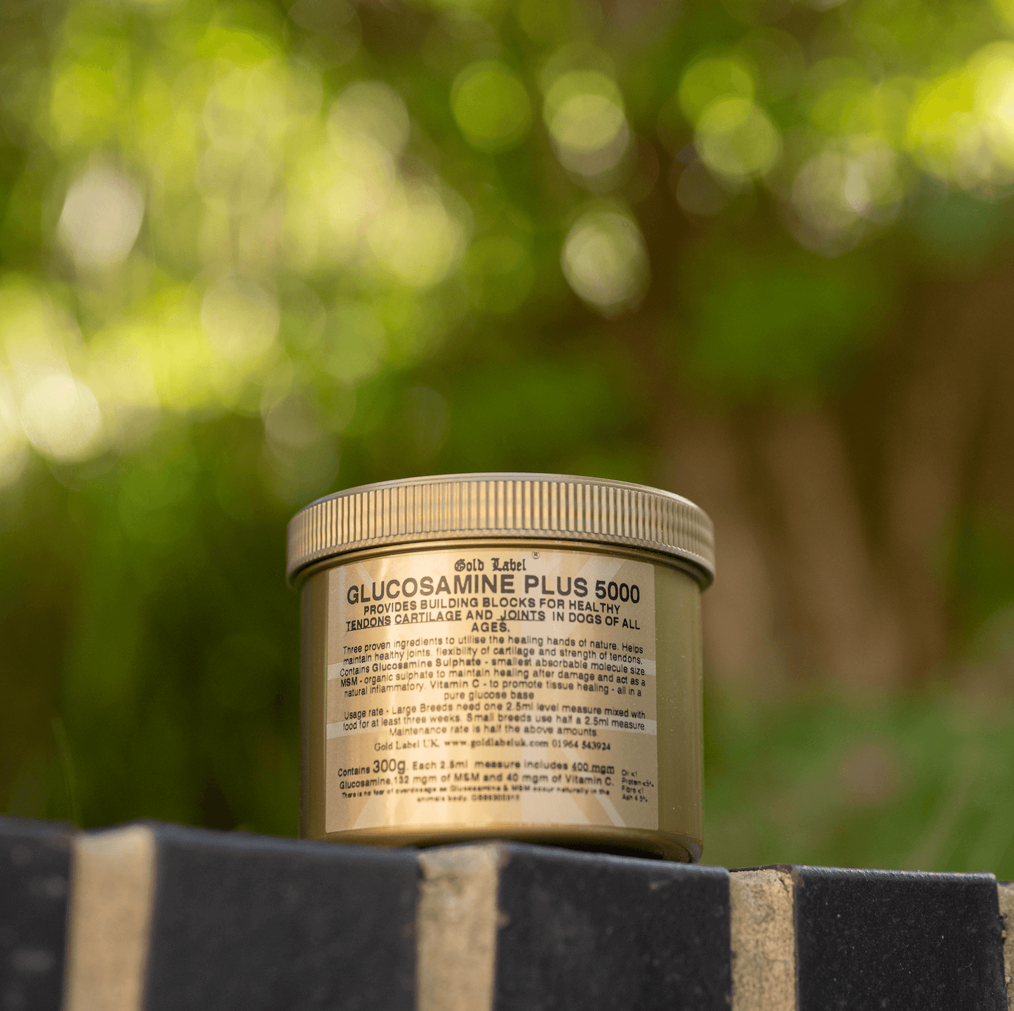 Glucosamine for Dogs Plus 5000 powder jar on a pedestal for healthy joints in dogs.