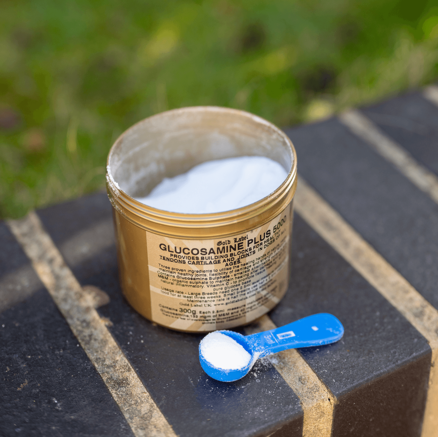 Glucosamine for Dogs Plus 5000 powder jar and measuring scoop for healthy joints.