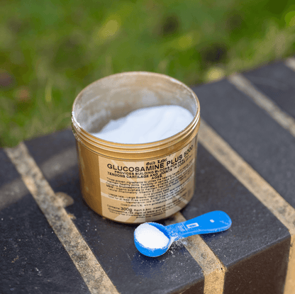 Glucosamine for Dogs Plus 5000 powder jar and measuring scoop for healthy joints.