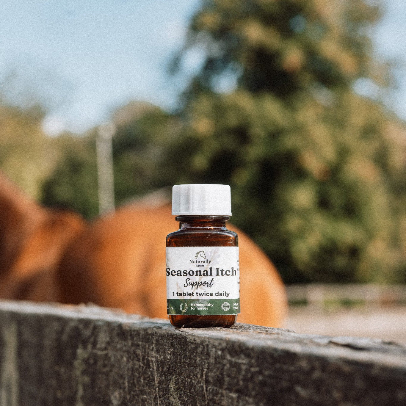 A small amber glass bottle of  Seasonal Itch Support sits on a weathered wooden fence with a blurred horse and outdoor trees in the background.