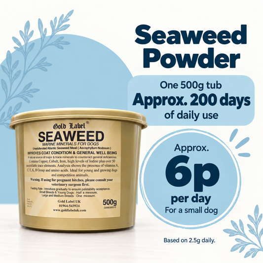 A 500g tub of Gold Label Seaweed Powder for dogs, shown on a white background with blue decorative leaf graphics and promotional text. The tub is beige with a gold lid, and the text highlights one tub lasting approximately 200 days of daily use, with a cost of 6p per day for a small dog.