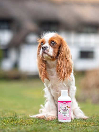Nilaqua No Rinse Dog Shampoo and Conditioner for Itchy Skin | Antibacterial Care