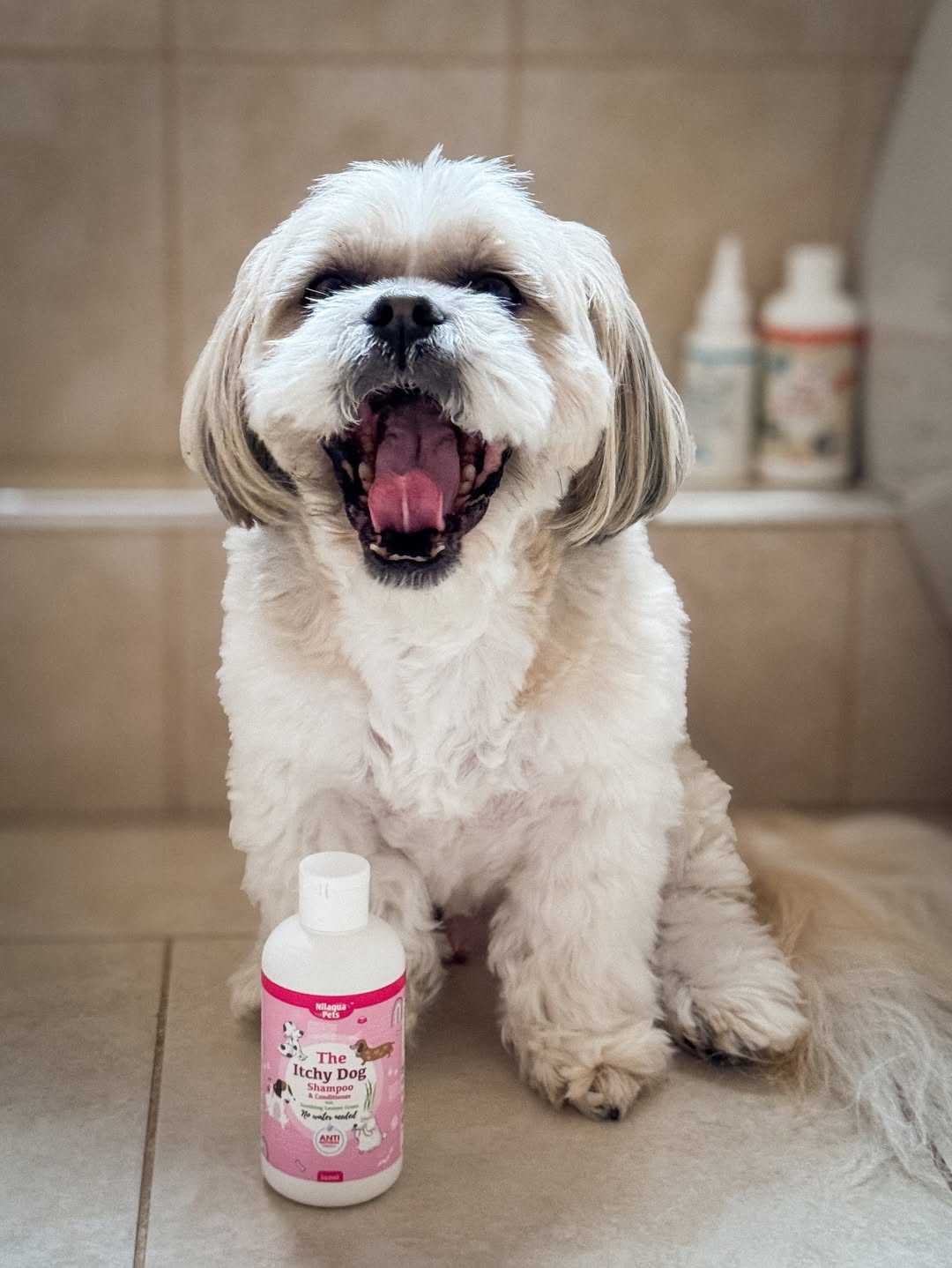 Nilaqua No Rinse Dog Shampoo and Conditioner for Itchy Skin | Antibacterial Care