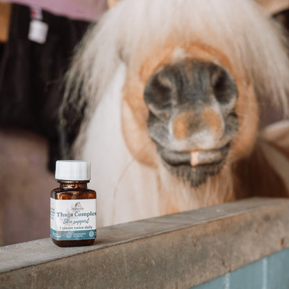A small amber bottle labeled Thuja Complex sits on a wooden stable wall, with a close-up of a horse's face in the background.