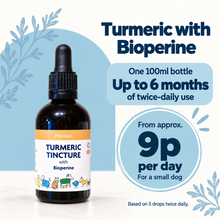 A bottle of Phyxpet Turmeric Tincture with Bioperine dog supplement shown on a clean white background with promotional text overlays detailing the dosage and benefits.