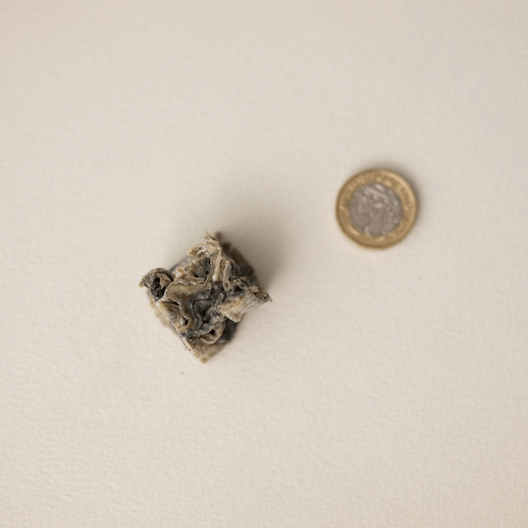 Dogseatus Fish Skin Cubes