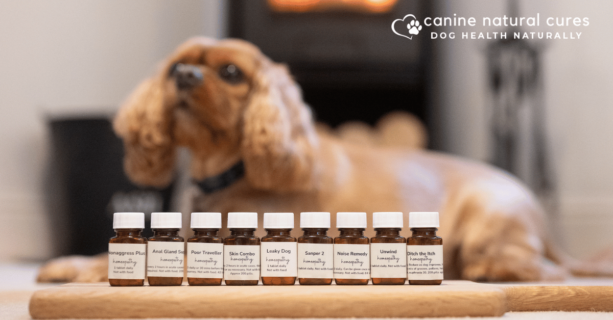 canine-natural-cures-natural-supplements-for-dogs-canine-natural-cures
