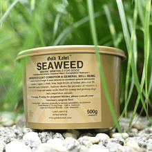 Seaweed supplement for dogs, 500g container, natural Ascophyllum Nodosum, enhances coat, digestion, and overall health.