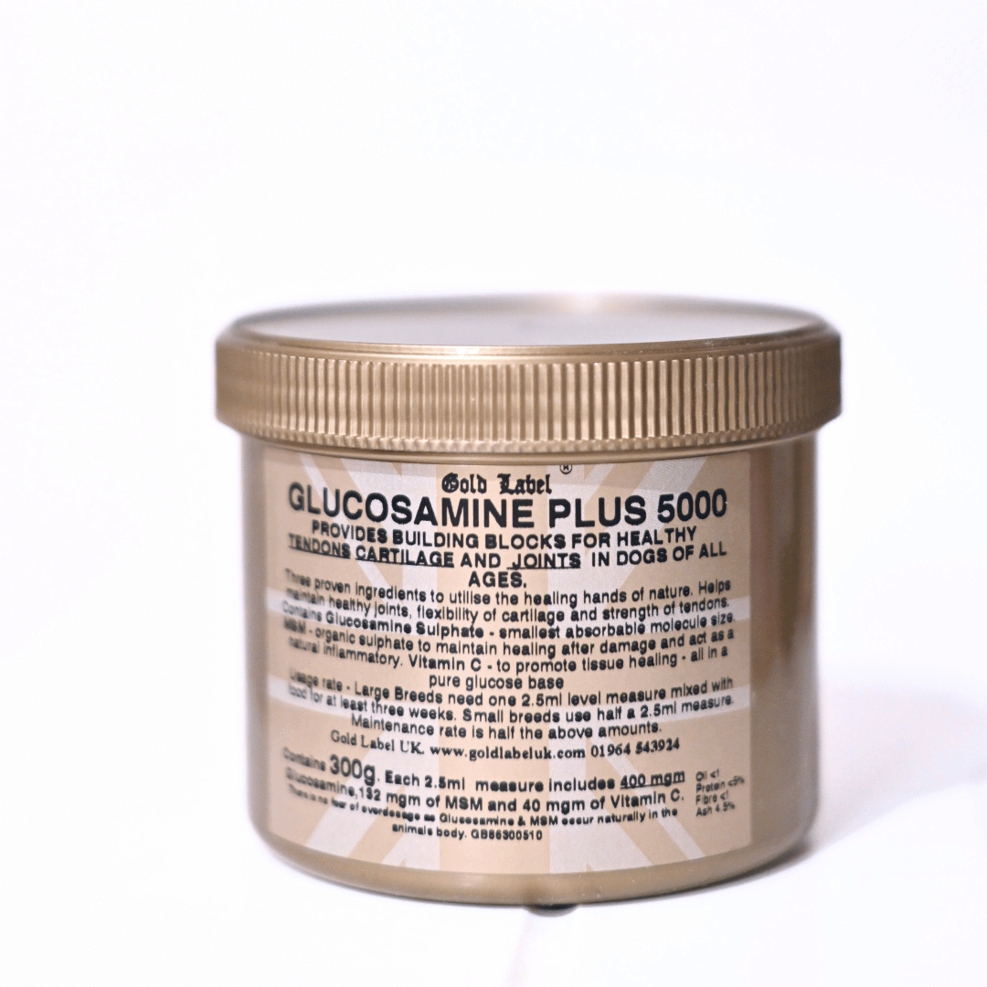 Glucosamine Plus 5000 powder for dogs promoting healthy joints and cartilage in a gold container.