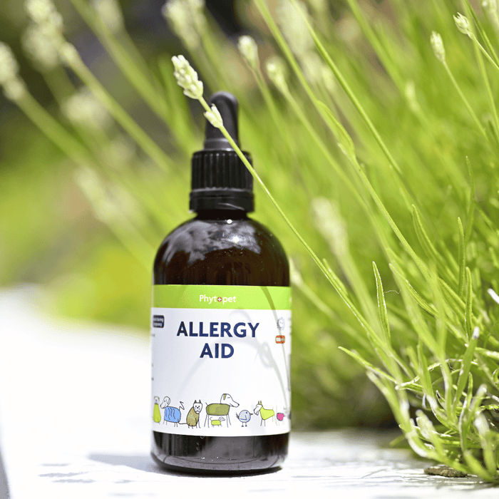 Allergy Aid for Dogs Itchy Skin