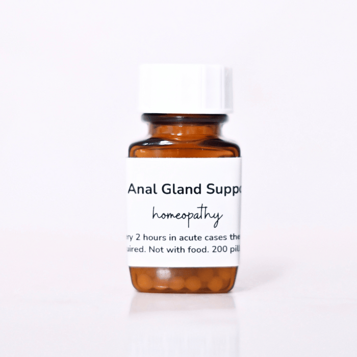 Anal Gland Support for Dog Scooting Homeopathy