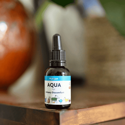 Aqua Herbal Remedy for Dogs, urinary discomfort relief bottle on a table, featuring natural ingredients like hydranger and marshmallow.