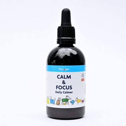 Herbal tincture for dogs, Calm & Focus, supports calm anxious dogs naturally, enhances mood and focus.