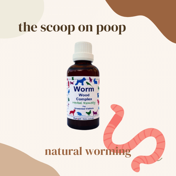 Natural Ways to Treat Worms