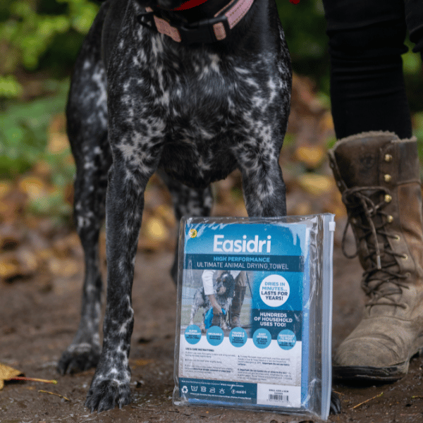 easi dri towel next to a dog outside