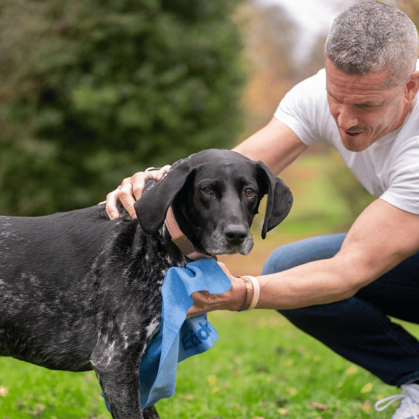 Man drying a black dog outdoors with an easidri towel