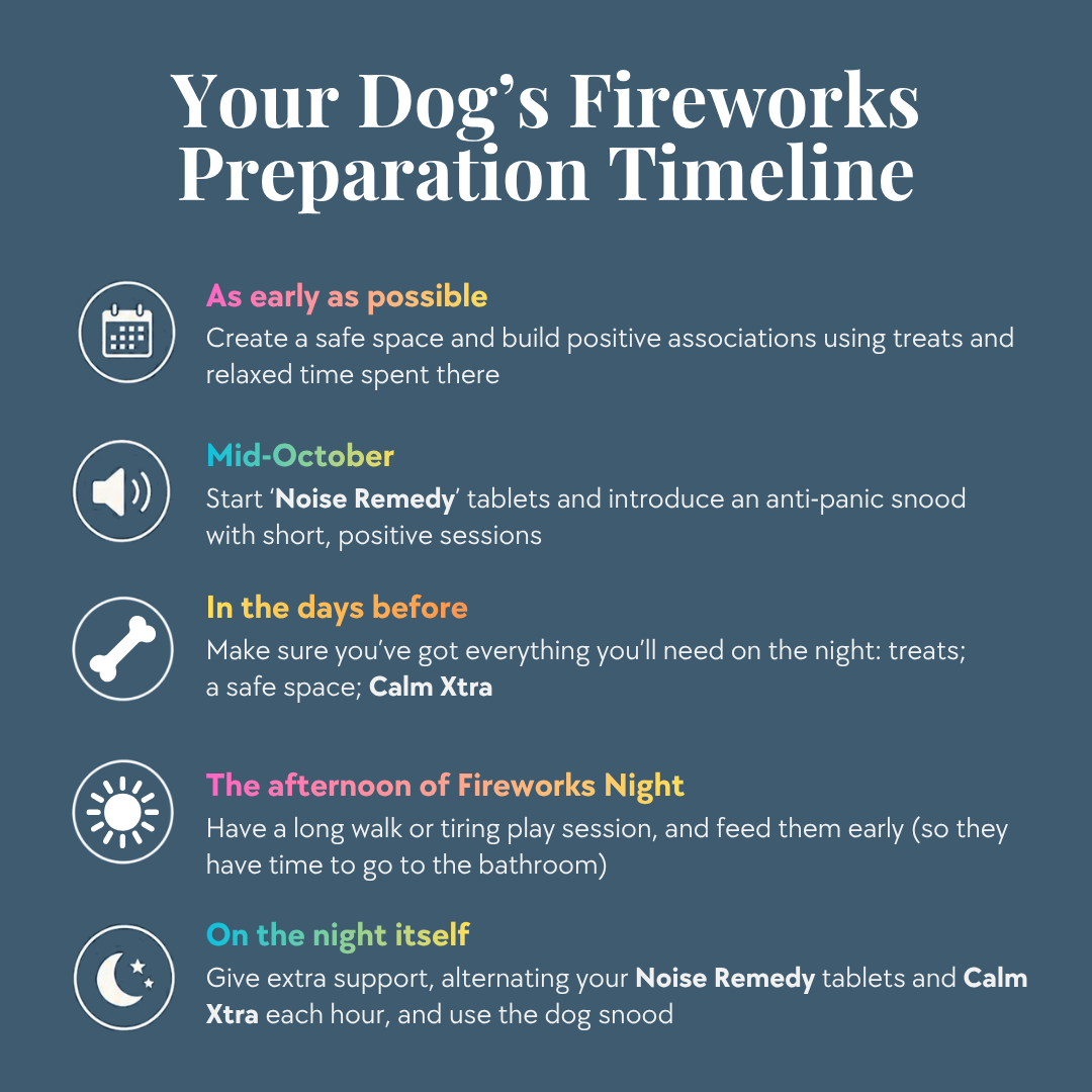An informational infographic titled 'Your Dog's Fireworks Preparation Timeline' on a muted blue-gray background. It uses icons and colored text to outline steps from as early as possible through the night before and on the night itself, mentioning treats, 'Noise Remedy' tablets, 'Calm Xtra', and positive sessions.