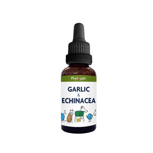Garlic and Echinacea Complex for pets, supporting immune health and natural defenses against infections.