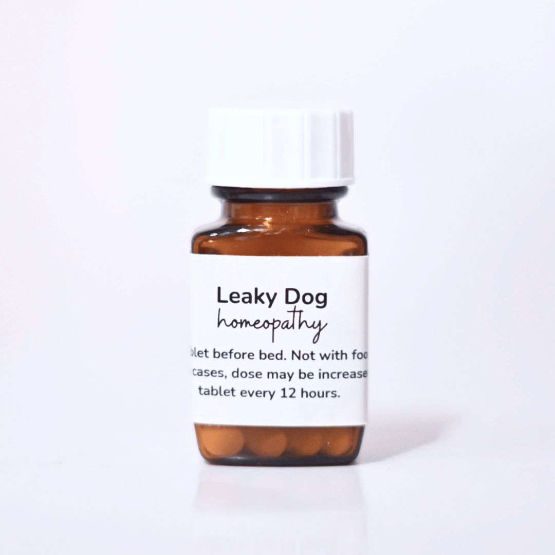 Bottle of Leaky Dog tablets