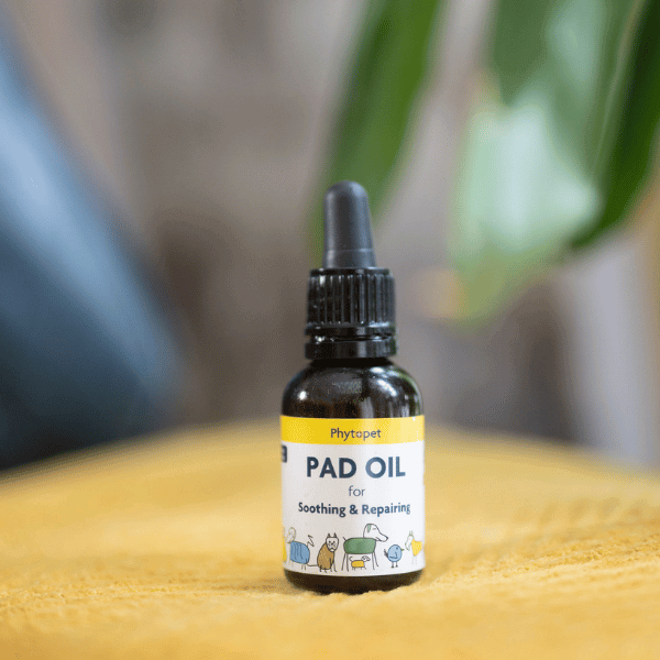 Phytopet Pad Oil bottle for itchy dog paw relief