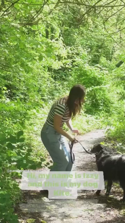 Person walking a black dog in a green forest, introducing themselves and their pet.