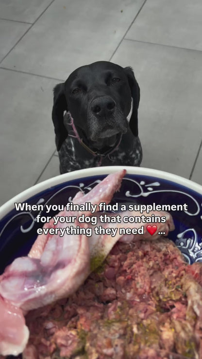 K9 Sure