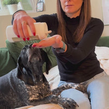 Get Rid Natural Flea Powder for Dogs 200g