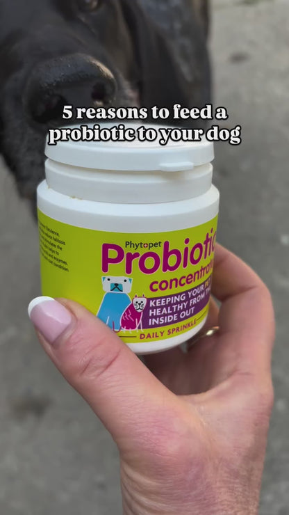 Probiotic Dog Supplement/Probiotic Concentrate 100g