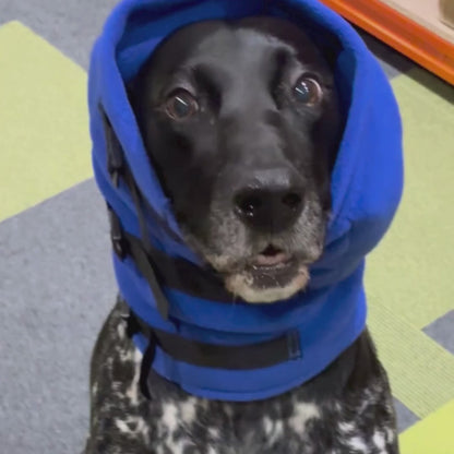 Anti-panic Dog Snood for Noise Sensitivity