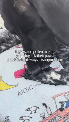 Itchy Paw Bundle