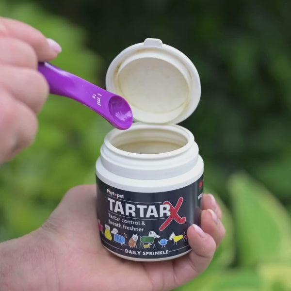 tartar x in use