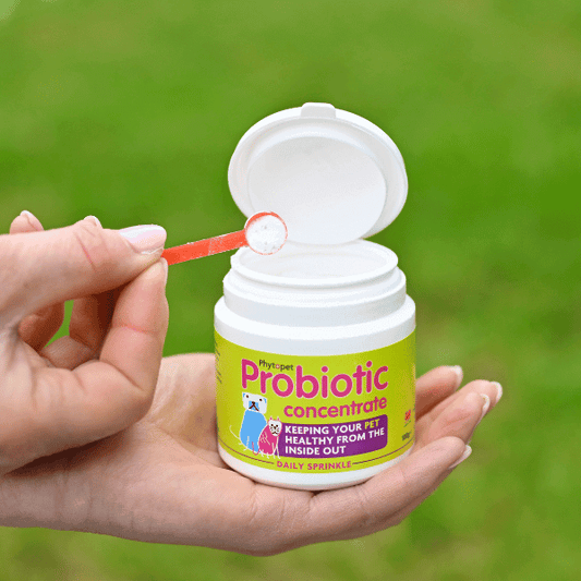 Hand holding a probiotic concentrate jar with a scoop, promoting pet health from the inside out.