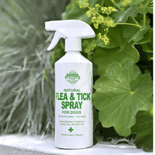 Natural flea and tick spray for dogs in a spray bottle, emphasizing eco-friendliness and 100% natural ingredients.