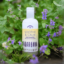 Dorwest Soothe and Calm Shampoo: