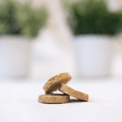 Salmon dog treats stacked on a white surface with greenery in the background, showcasing healthy dog snacks.