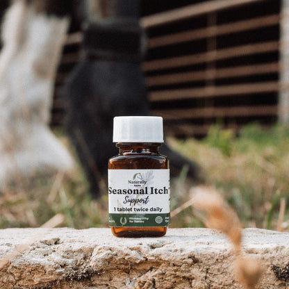 Seasonal Itch Support – Natural Skin Support for Horses in Midge Season